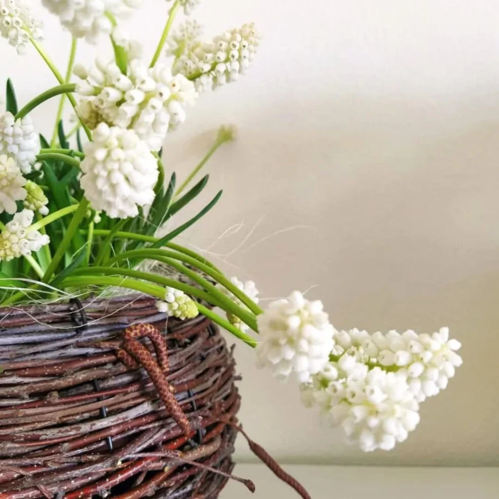 arredo-floreale