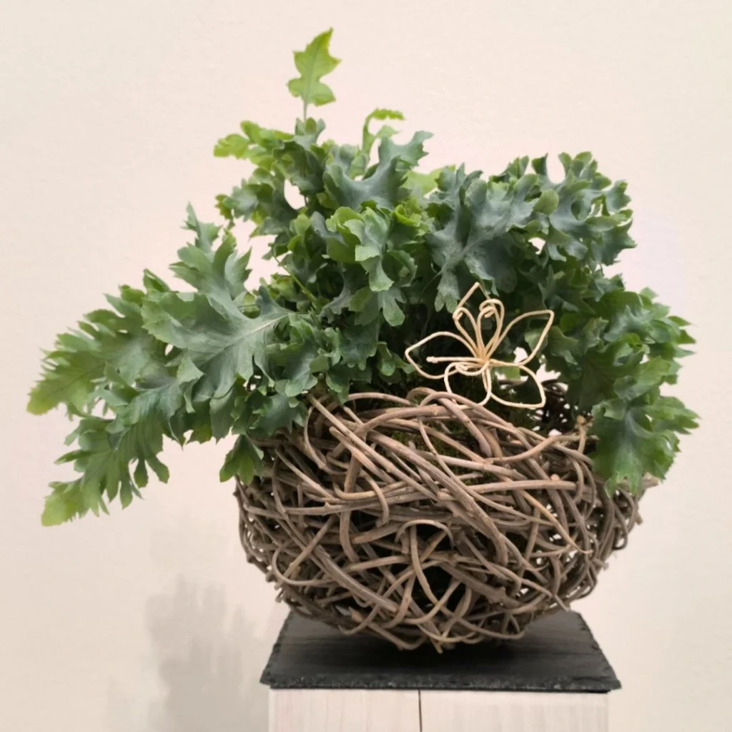 intreccio-composizione-botanica